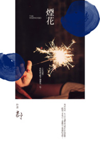 烟花厂爆炸事故